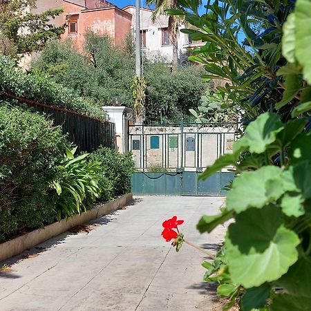 Salsedine Apartment 팔레르모 외부 사진