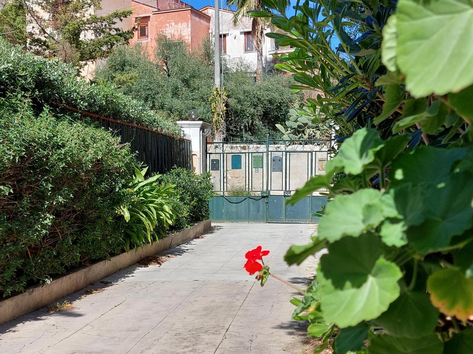 Salsedine Apartment 팔레르모 외부 사진